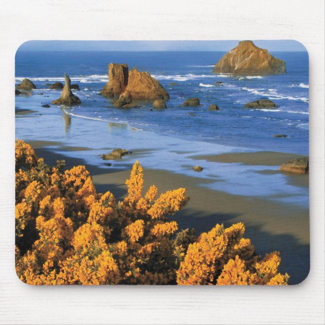 Oregon Beach View In Bandon Mouse Pad (Front)