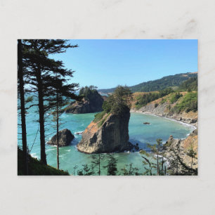 Oregon Coast Boardman Scenic Overlook Postcard