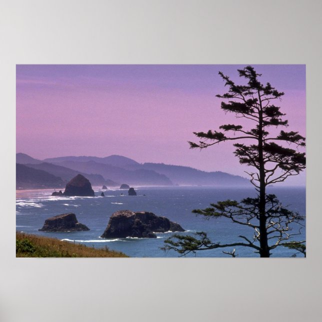 Oregon coast, Ecola State Park, Oregon Poster (Front)