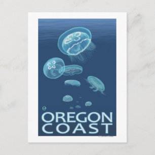 Oregon Coast Jellyfish Postcard