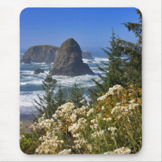 Oregon Coast Mouse Pad