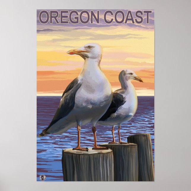 Oregon Coast Sea Gulls Poster (Front)