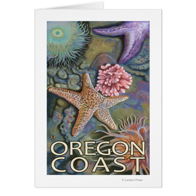 Oregon Coast Tidepool (Front)