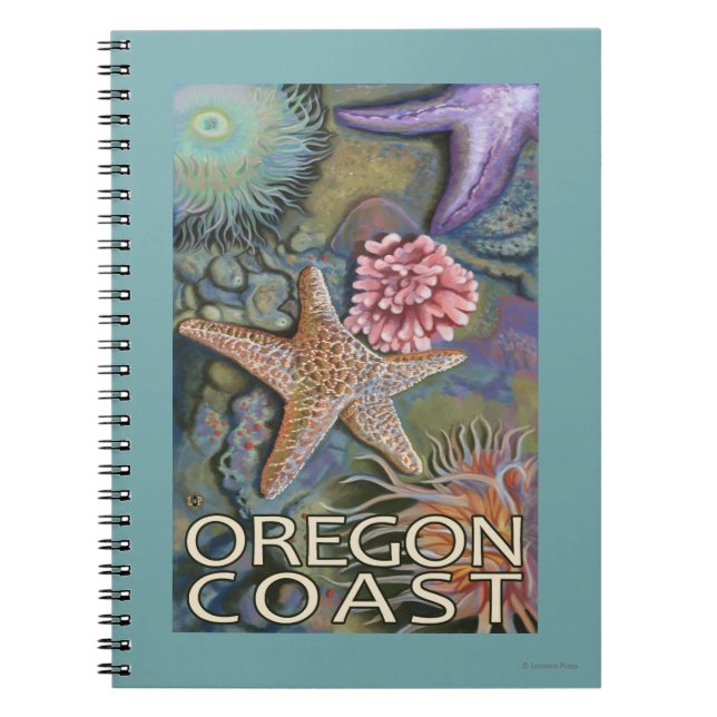 Oregon Coast Tidepool Notebook (Front)