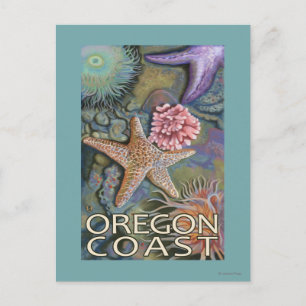 Oregon Coast Tidepool Postcard
