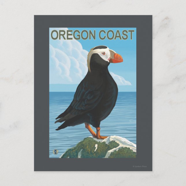 Oregon Coast Tufted Puffin Postcard (Front)