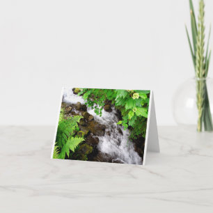 Oregon Creek Thank You Card