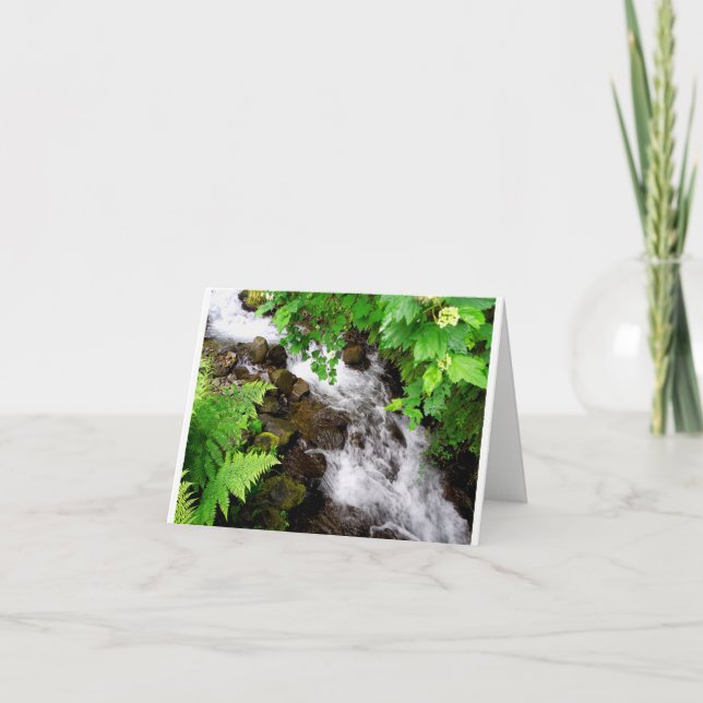 Oregon Creek Thank You Card (Front)