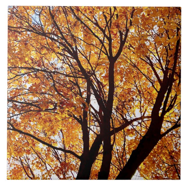 Oregon Fall Leaves Ceramic Tile (Front)
