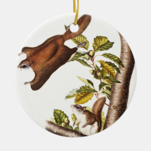 Oregon Flying Squirrel (Pteromys Origonensis)  Ceramic Ornament