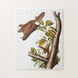 Oregon Flying Squirrel (Pteromys Origonensis)  Jigsaw Puzzle