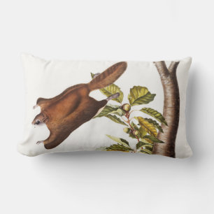 Oregon Flying Squirrel (Pteromys Origonensis) Lumbar Cushion