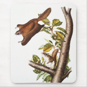 Oregon Flying Squirrel (Pteromys Origonensis) Mouse Pad