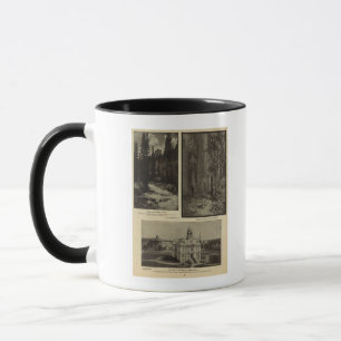 Oregon forest giant pines plaza, Salem, Oregon Mug