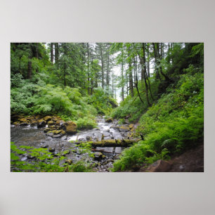 Oregon forest poster