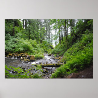 Oregon forest poster