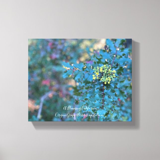 Oregon Grape  Canvas Print (Front)