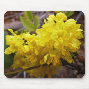 Oregon Grape Flowers Yellow Wildflowers Mouse Pad