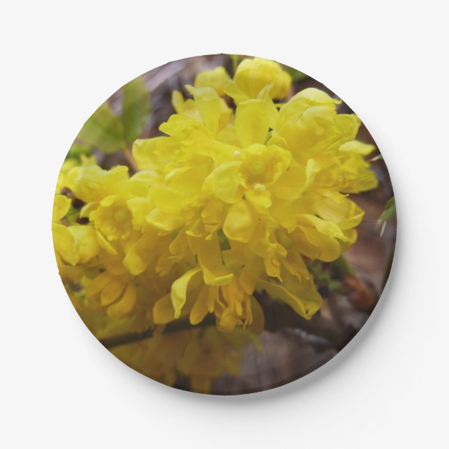 Oregon Grape Flowers Yellow Wildflowers Paper Plate (Front)