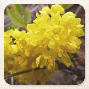 Oregon Grape Flowers Yellow Wildflowers Square Paper Coaster