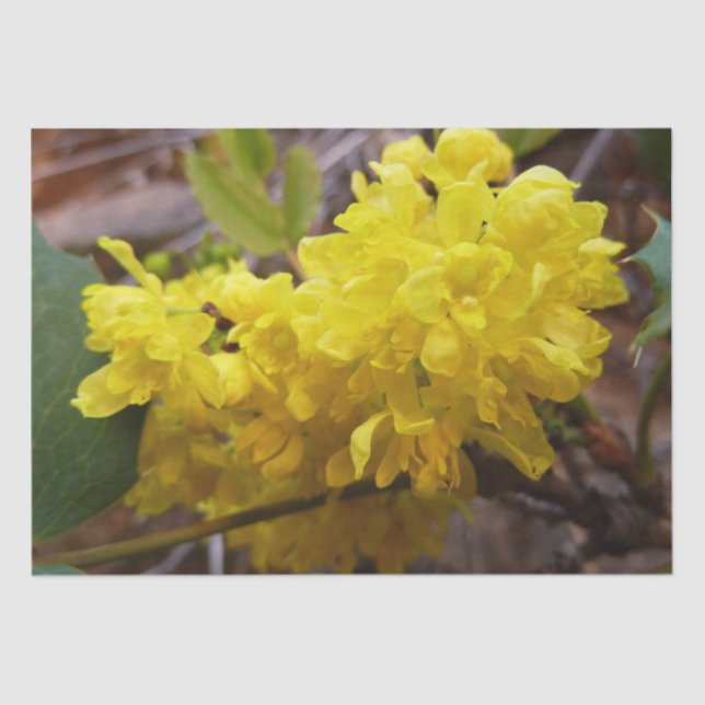 Oregon Grape Flowers Yellow Wildflowers Tissue Paper (Front)