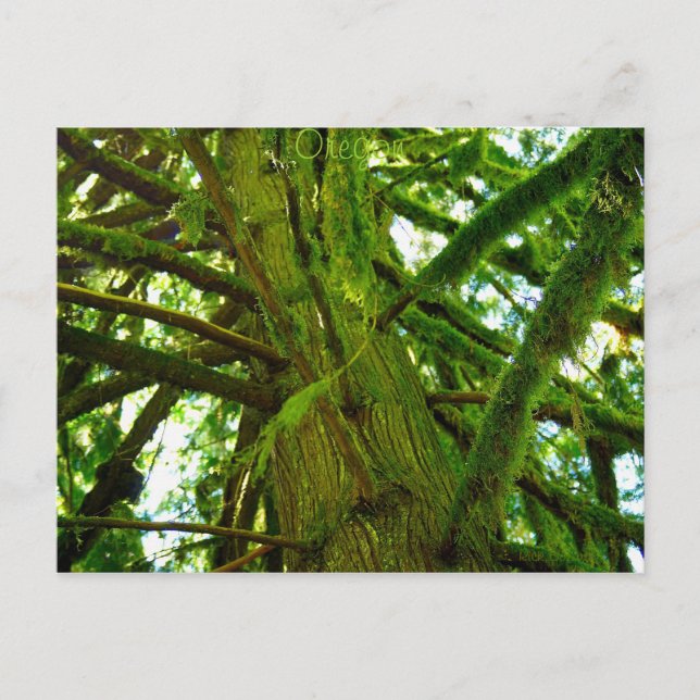 Oregon Green Postcard (Front)
