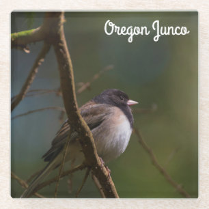 Oregon Junco Glass Coaster