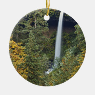 Oregon, Silver Falls State Park, North Falls Ceramic Tree Decoration