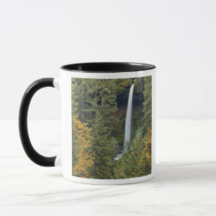 Oregon, Silver Falls State Park, North Falls Mug