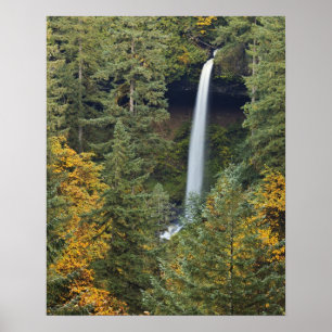 Oregon, Silver Falls State Park, North Falls Poster