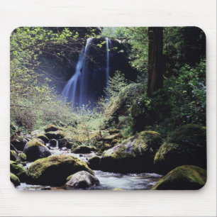Oregon, Siskiyou National Forest, Elk Creek Mouse Pad