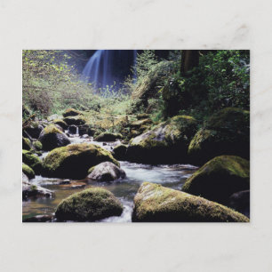 Oregon, Siskiyou National Forest, Elk Creek Postcard