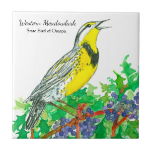 Oregon Souvenir Meadowlark Botanical Tile