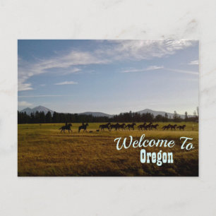 Oregon State Postcard
