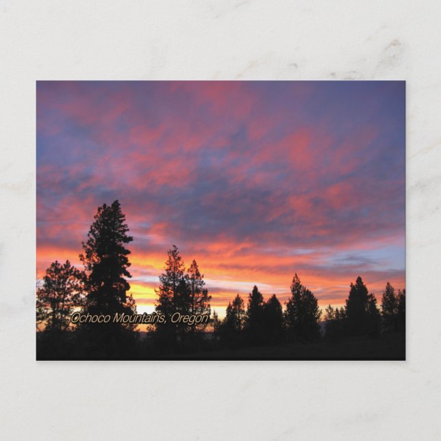 Oregon Sunset Postcards (Front)