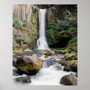 Oregon, Toketee Falls and basalt rock formations Poster