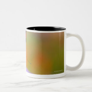 oregon, usa 2 Two-Tone coffee mug