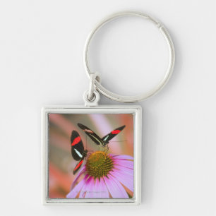 oregon, usa 3 key ring