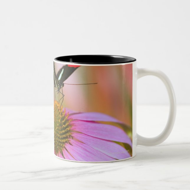 oregon, usa 3 Two-Tone coffee mug (Right)