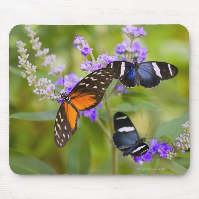 oregon, usa mouse pad (Front)