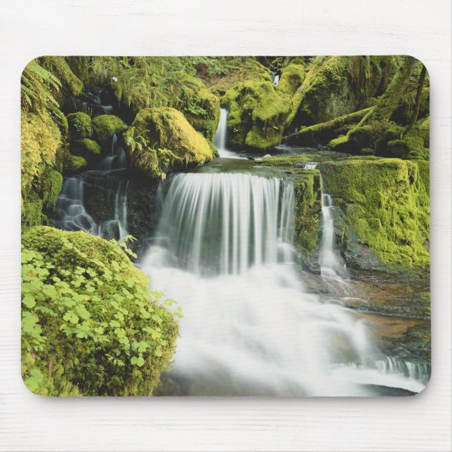 Oregon, Waterfall in Willamette national Mouse Pad (Front)