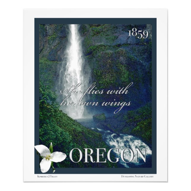 Oregon Waterfall Poster (Front)