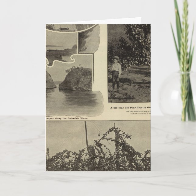 Oregon, where every prospect pleases card (Front)