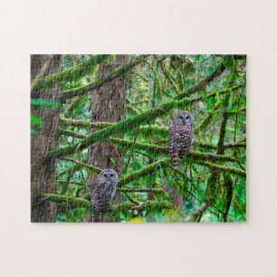 Oregon Wild Owl's. Jigsaw Puzzle
