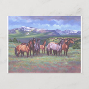 Oregon's Wild Horses Postcard