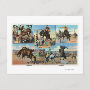 OregonScenic Views of Rodeo Bronco Busters Postcard