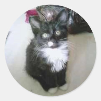 "OREO" CLASSIC ROUND STICKER