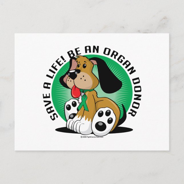 Organ Donor Dog Postcard (Front)