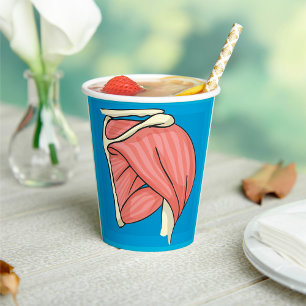 Organ Illustration Paper Cups