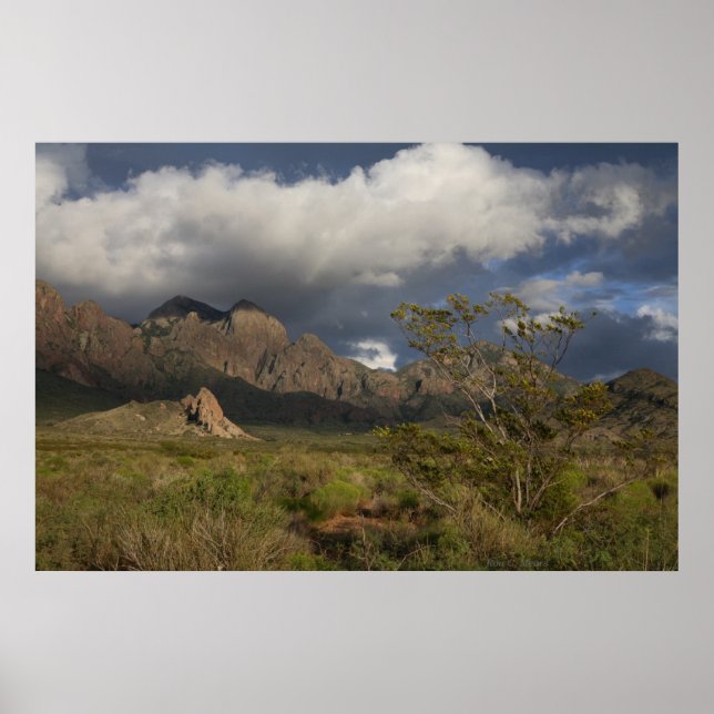 Organ Mountains After Storm Poster (Front)